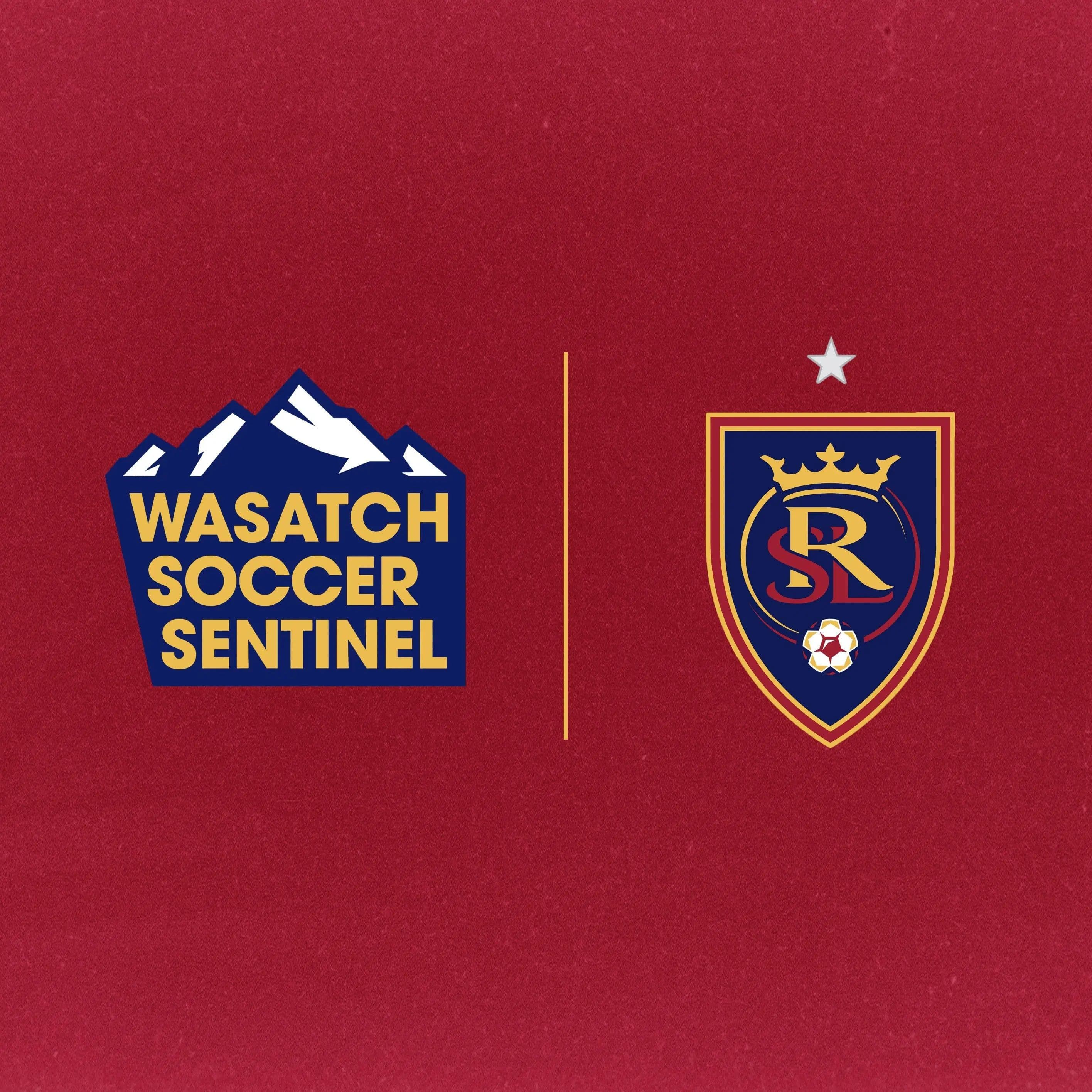 Thinking about RSL’s poor showing against San Diego